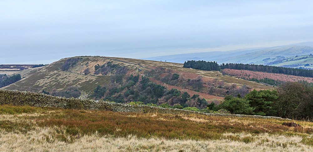 Foxlow Edge Foxlow Edge